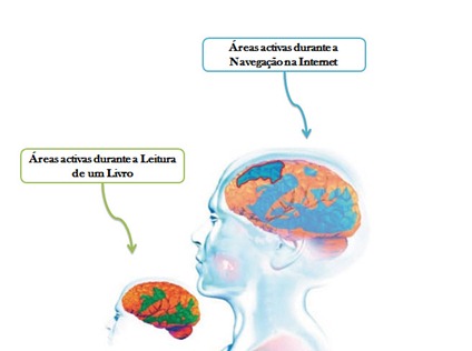 cerebro areas