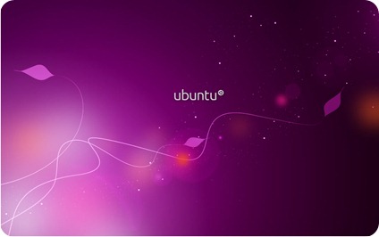 Ubuntu_10_04