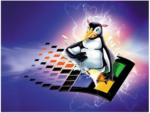 win_linux