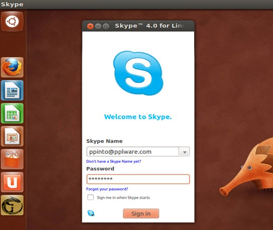 skype_06