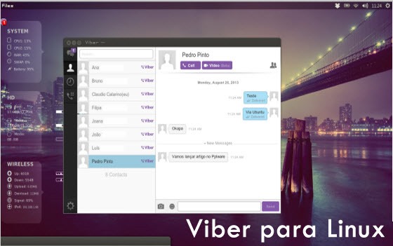 viber_Linux_01