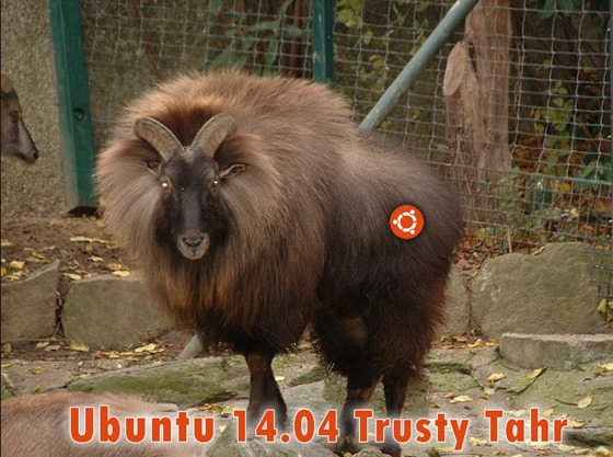 ubuntu14_04_00