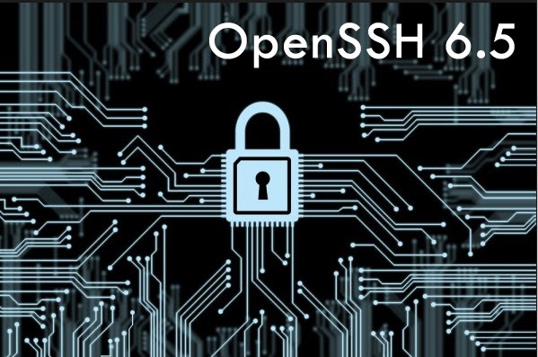 Chegou o OpenSSH 6.5 – Segurança acima de tudo - Pplware