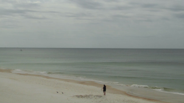 Vai “apanhar umas ondas”? Veja primeiro como está o mar!
