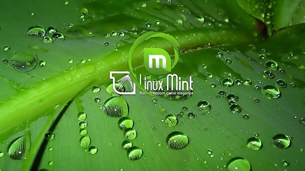 linux_mint_debian_wallpapers_by_nacsasoft-d36ovz3
