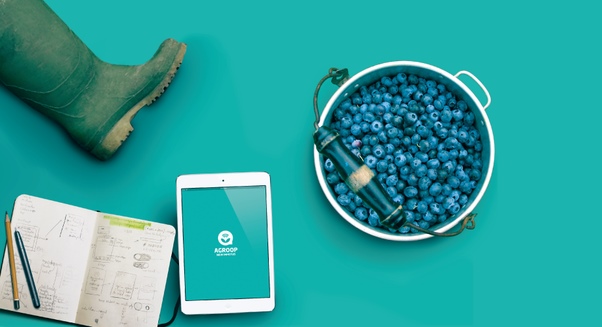 A agricultura a adaptar-se às tecnologias móveis