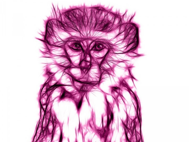 Última hora: Chegou o novo Ubuntu 15.04 (Vivid Vervet)