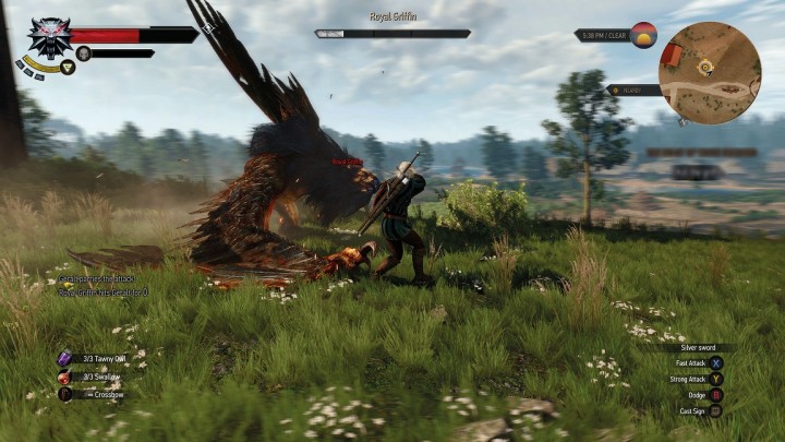 The_Witcher_3_Wild_Hunt_the_deadliest_dance_1430900924