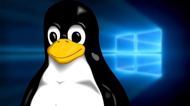 Caixa Mágica experimenta Linux no novo Magalhães - Computadores - SAPO Tek