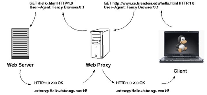 proxy_00