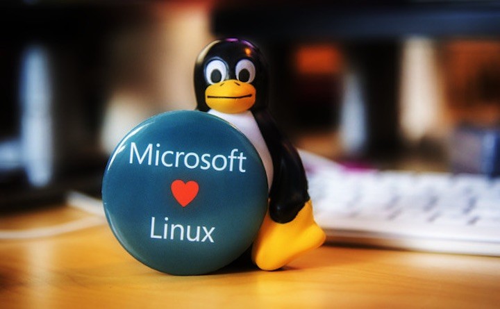 Microsoft Linux Foundation
