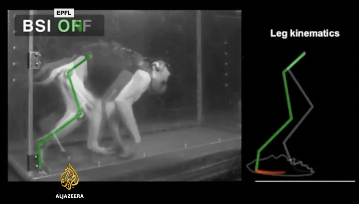 Inédito: "Wi-fi Cerebral" reverte paralisia na perna de um primata