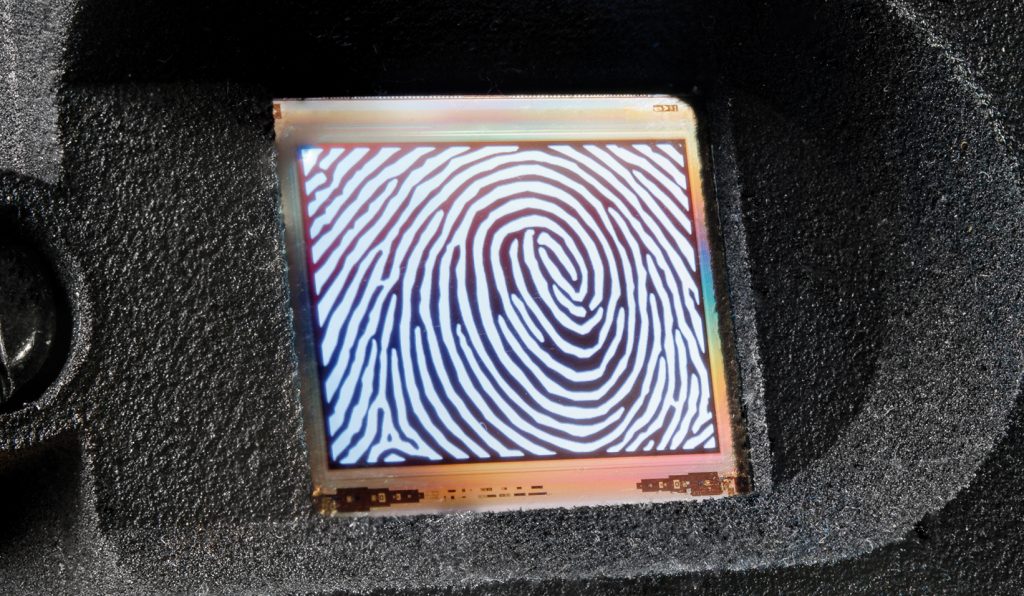 Microdisplay OLED será a próxima revolução nos smartphones