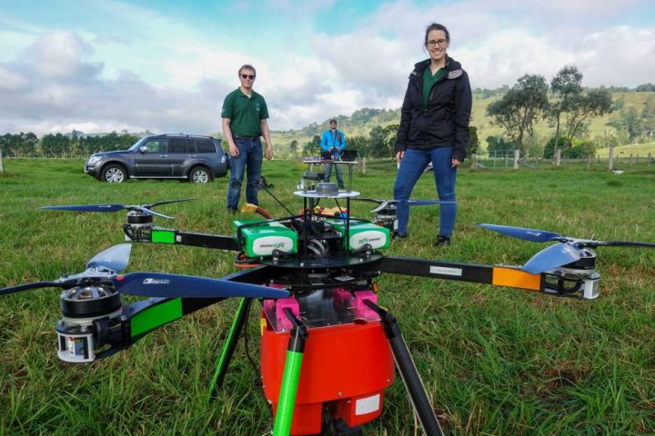 Drone pode semear milhares de árvores dia