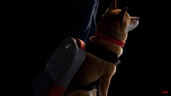 OnePlus Travek Backpack cao
