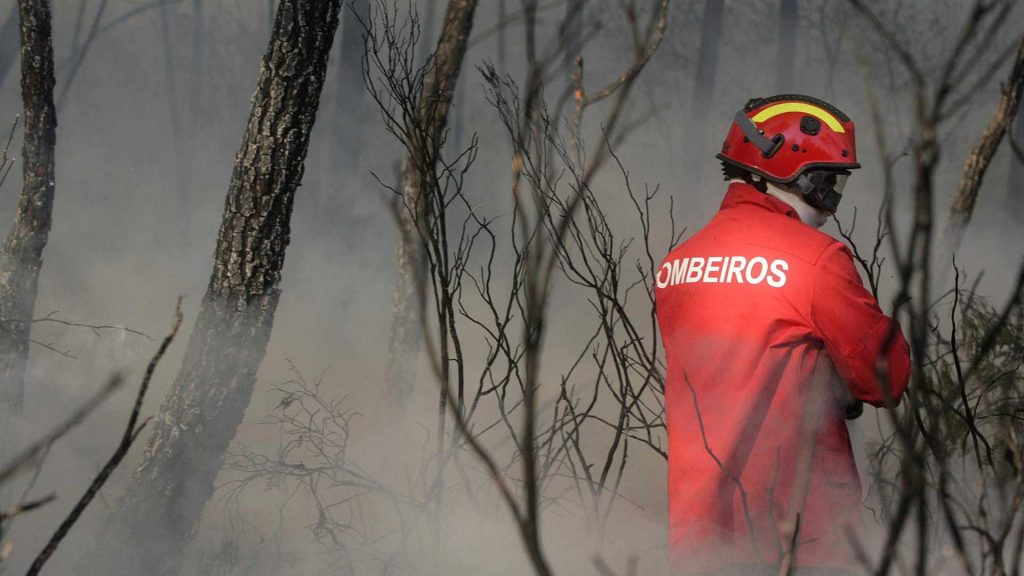 Incêndios: Anacom sugere que operadores não cobrem serviço