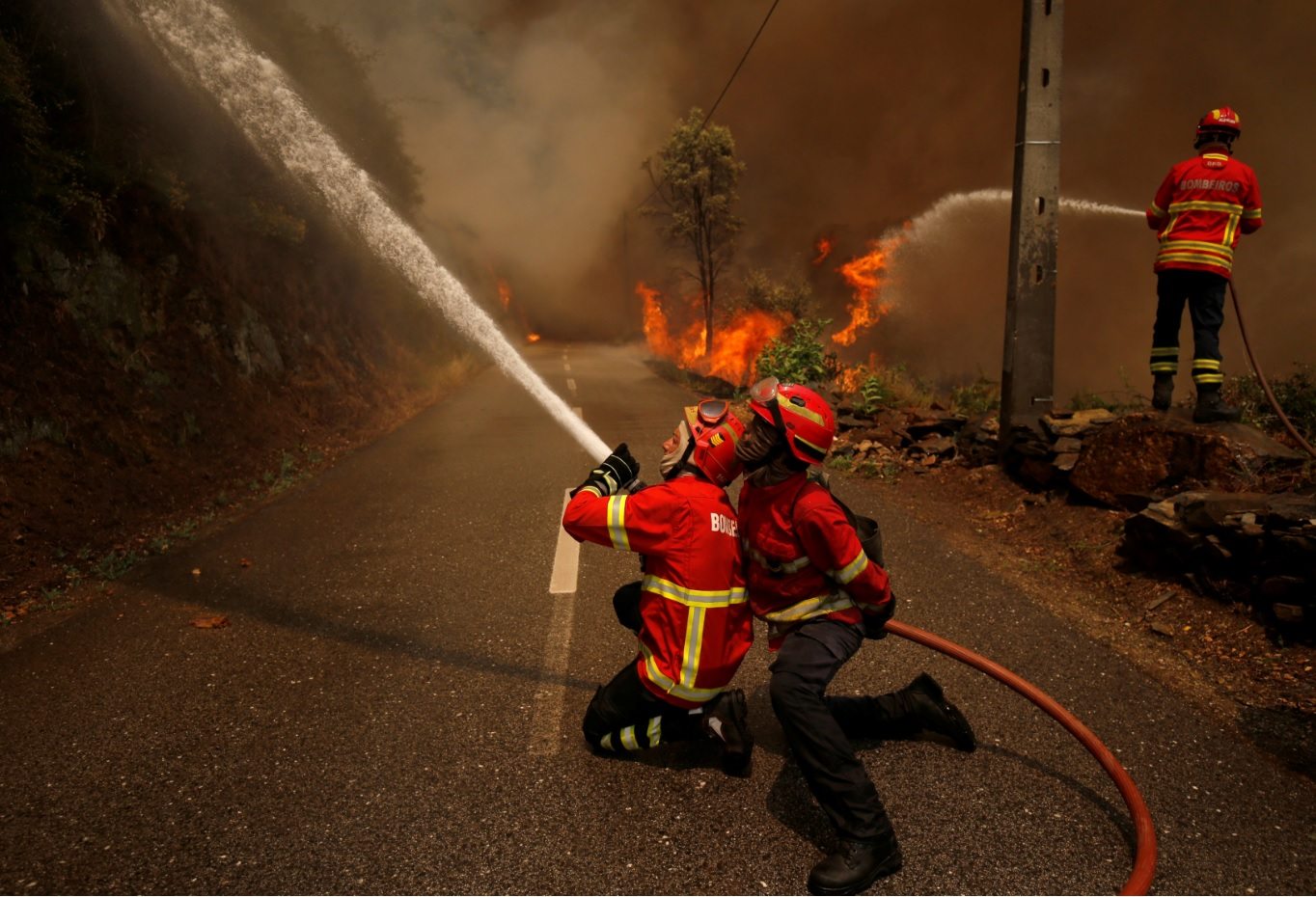 Incêndios: Anacom quer cabos de comunicações enterrados