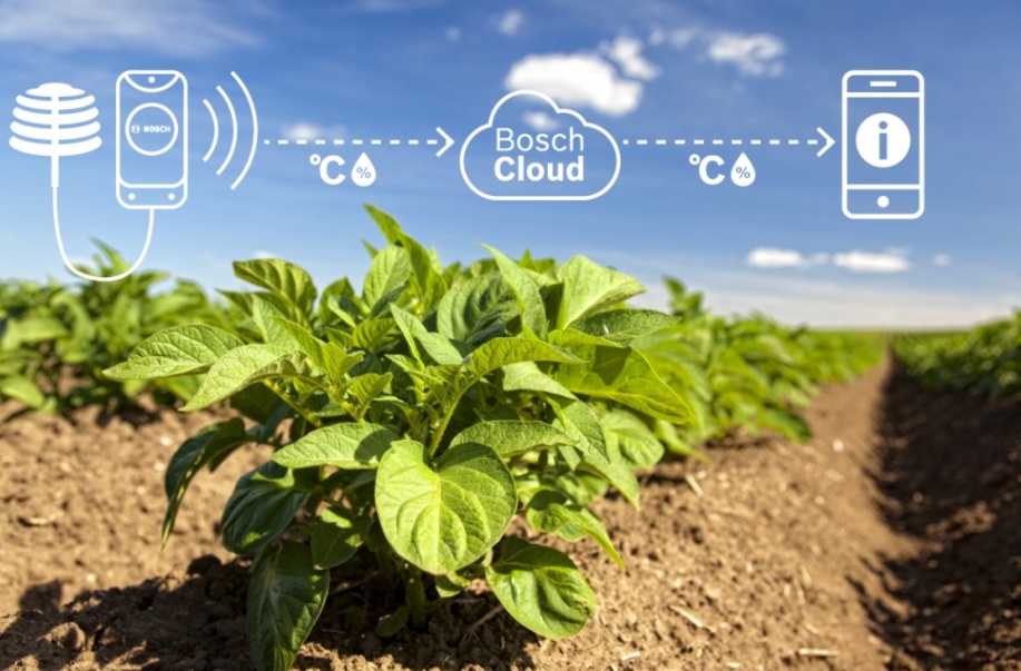 Agricultura inteligente: os produtores podem finalmente descansar