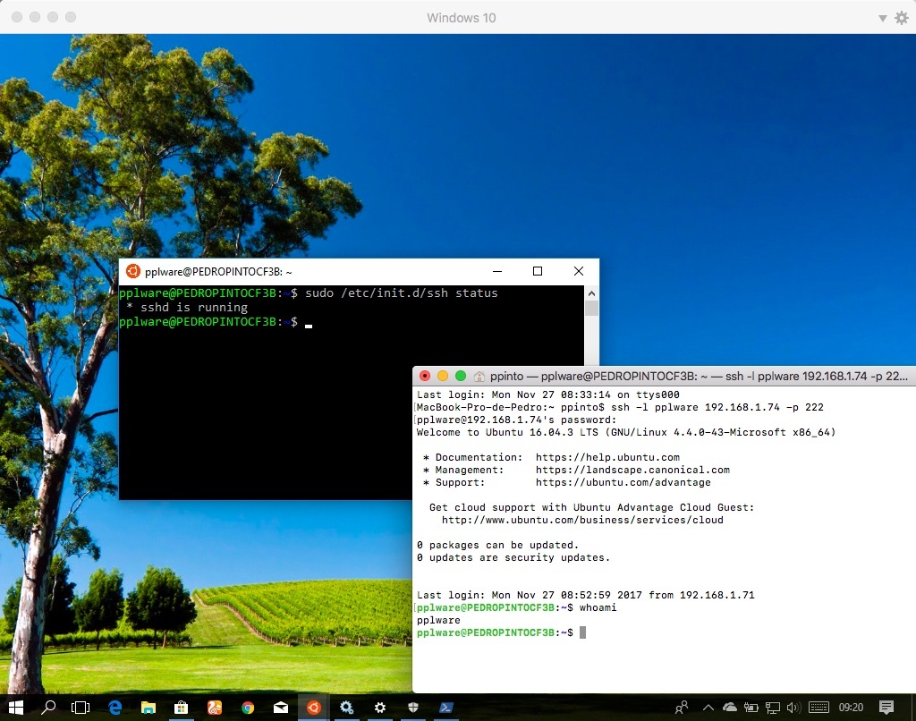 Tutorial: Aceda ao Windows 10 remotamente via SSH