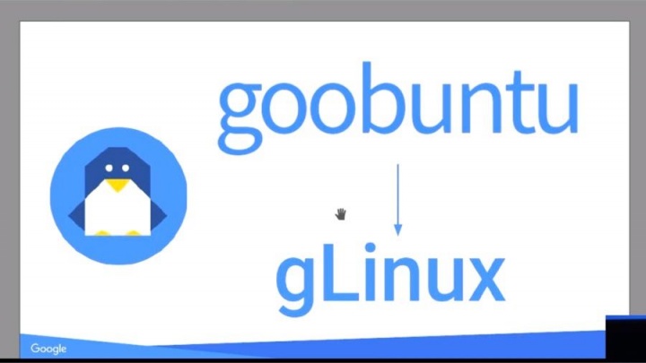 Google Debian gLinux