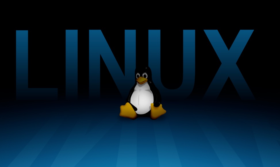 Programadores programam cada vez mais para Linux?