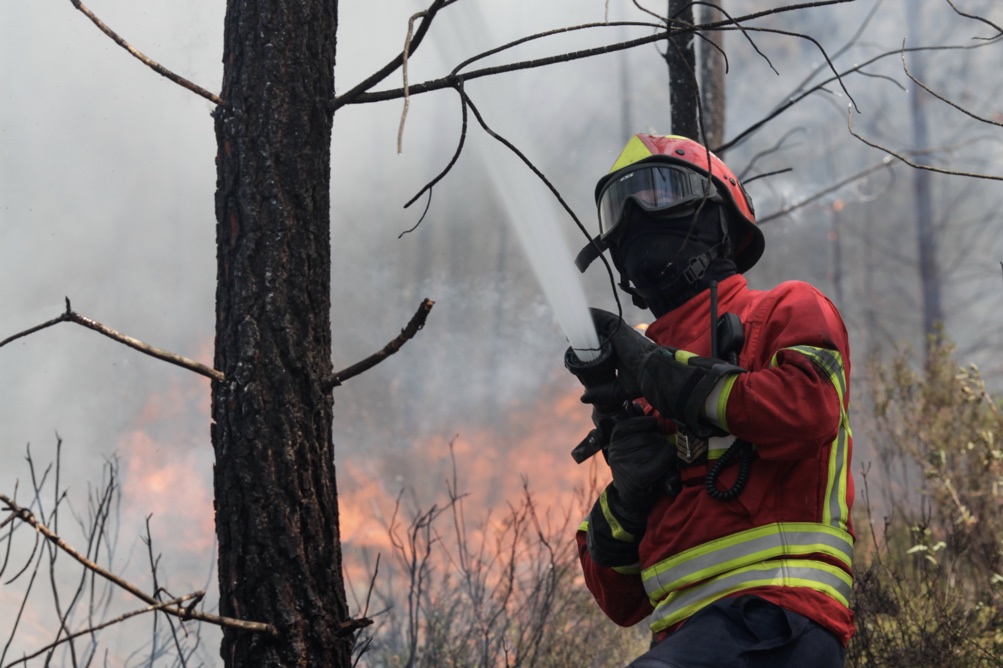 Proteção Civil engana-se e dá número da Glassdrive para alertar incêndios