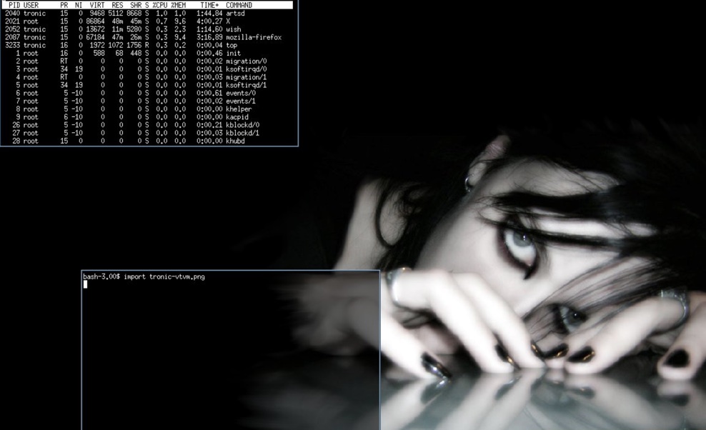 5 das melhores distribuições Linux para utilizadores avançados