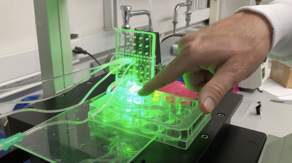 Cientistas usam impressora 3D para criar ligamentos e tendões humanos