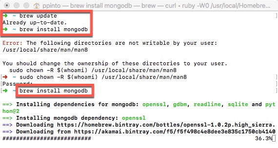 brew install mongodb with openssl