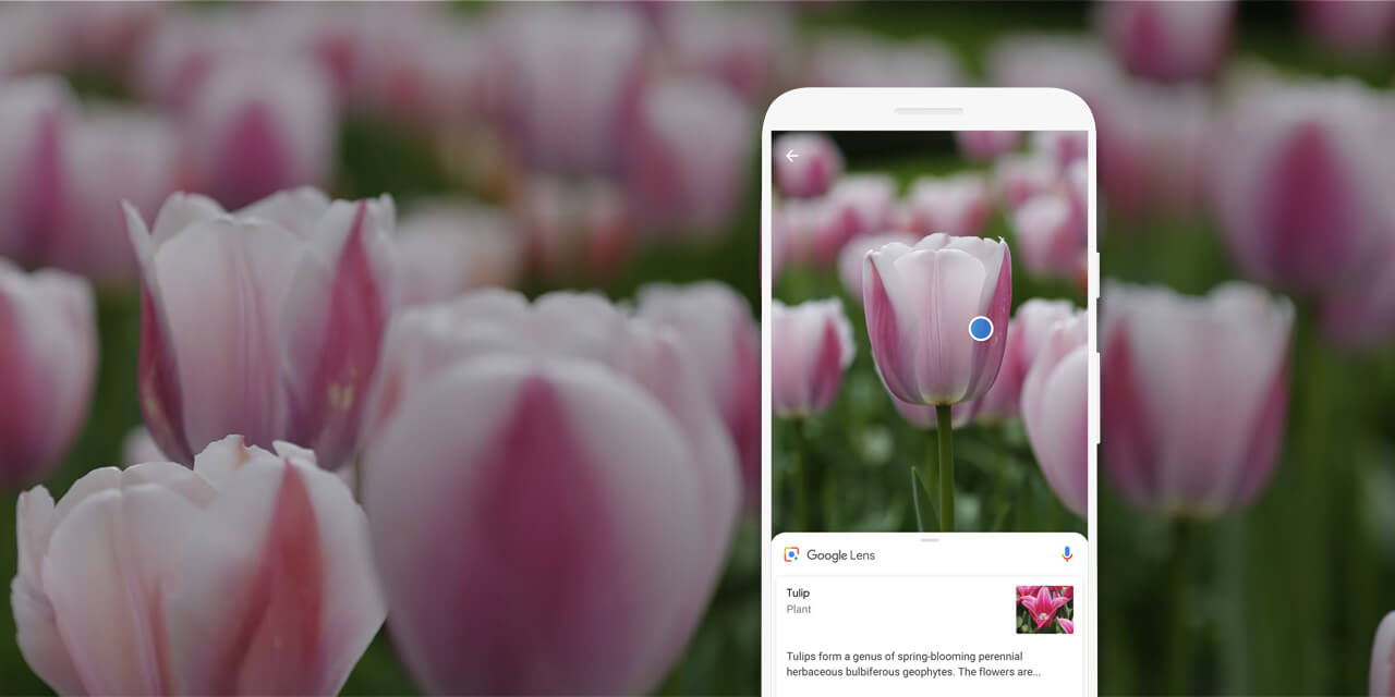 Google Lens: O seu iPhone sabe tudo o que você quiser saber