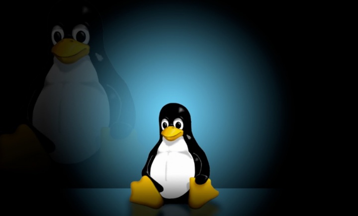 5 comandos para ver o conteúdo de ficheiros no terminal Linux