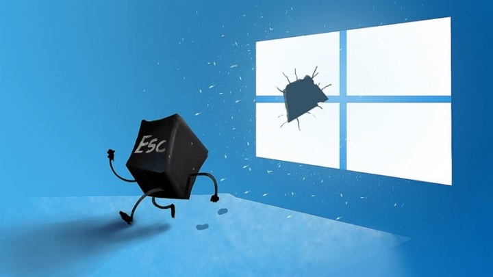 Windows 7 Windows 10 fevereiro crescer terreno