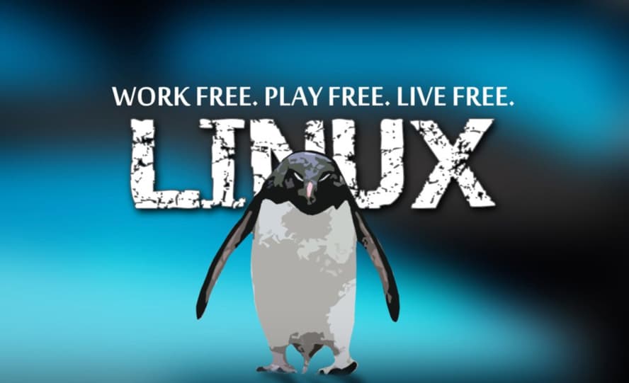 Porque hoje é dia da liberdade! TOP 5 distribuições Linux