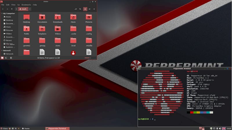 Peppermint OS 10 – O seu PC vai ficar mais rápido que um Tesla