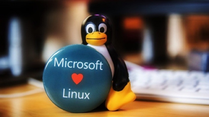 Linux Windows 10 interface gráfica Microsoft