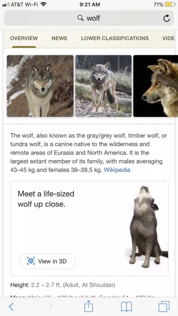 Google pesquisa AR realidade aumentada animais