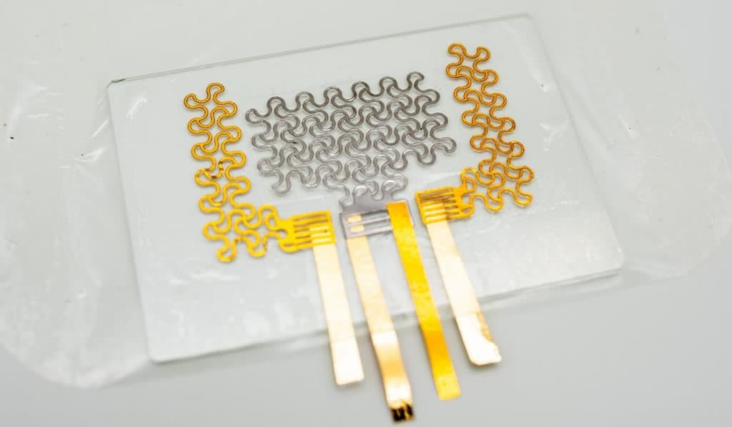 Tatuagem elástica e-tattoo mede atividade do coração via ECG e SCG