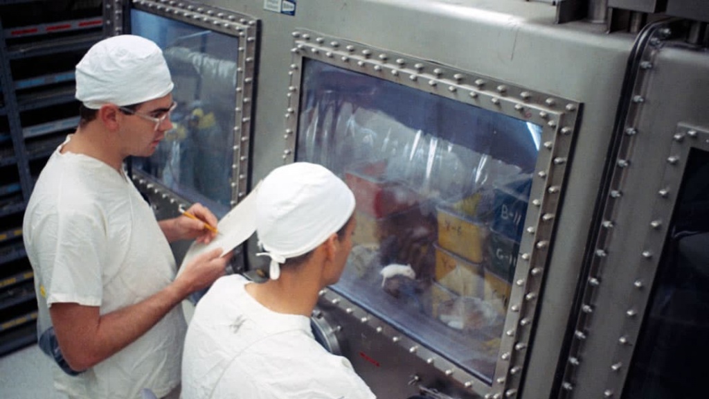 NASA alimentou baratas com rochas lunares da Apollo 11 e fez outros testes estranhos