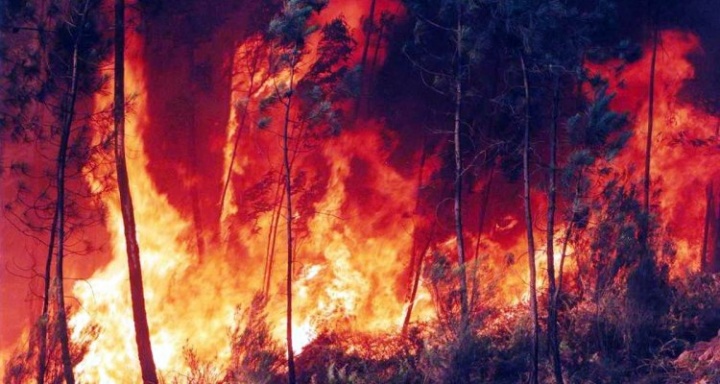 A Amazónia está a arder! Nuvem de fumo já é visível do espaço