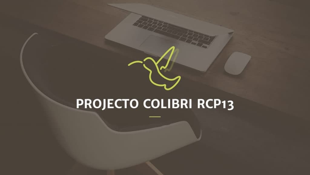 Projeto Colibri RCP13 – Software de Gestão de qualidade, rápido e versátil