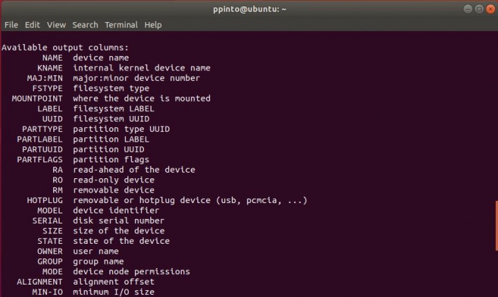lsblk: Saiba quais os discos e partições no Linux