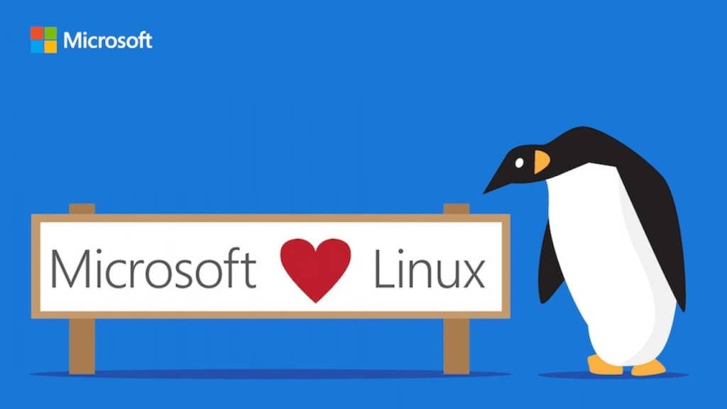 Linus Torvalds Microsoft Linux aproximação
