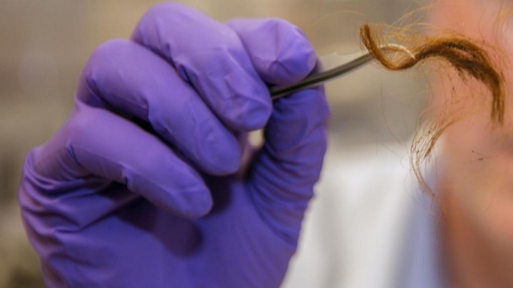 Técnica forense permite identificar pessoas a partir de pequenos fragmentos de cabelo