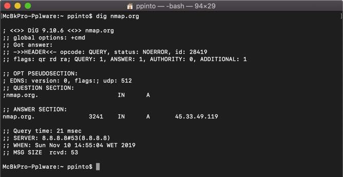 Dig: Descubra o que se "esconde" dentro de um servidor de DNS