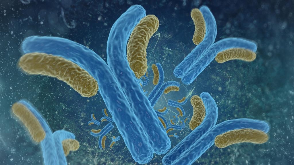 Do DNA à proteína – como são sintetizadas as proteínas?