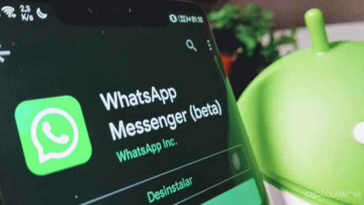 WhatsApp testes dispositivos programa app