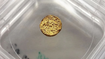Imagem de pepita de ouro de 18 quilkátes feito a partir de plástico