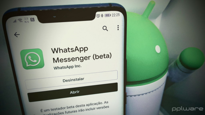 WhatsApp conversas eliminar privacidade