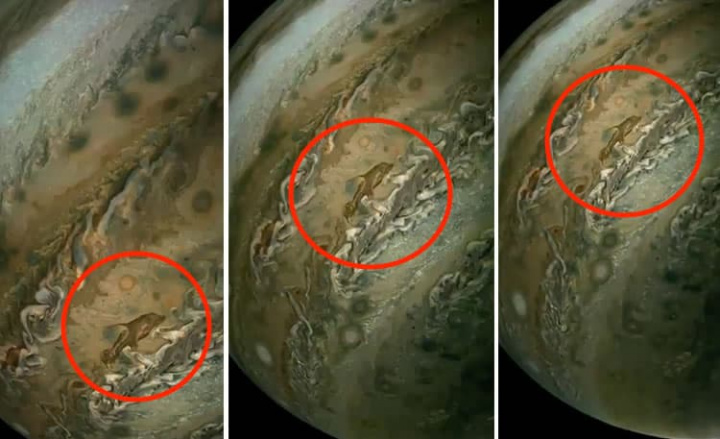 Imagem de Júpiter com uma mancha que parece um golfinho, captada pela sonda Juno, da NASA