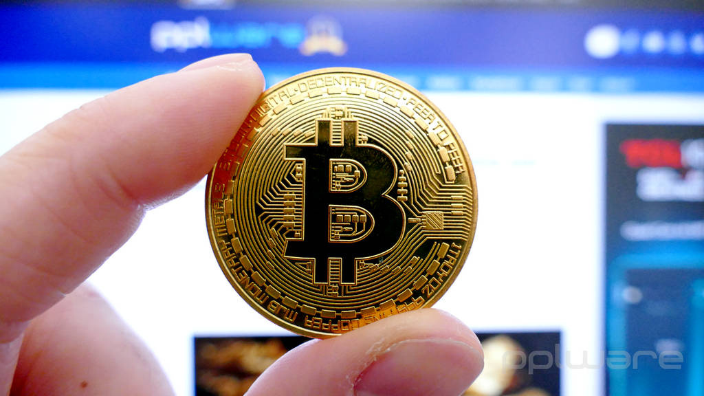 Maioria dos investidores opta pela Bitcoin e pela Ethereum